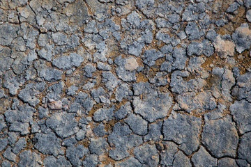 Mud Texture