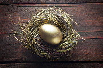 Golden Egg