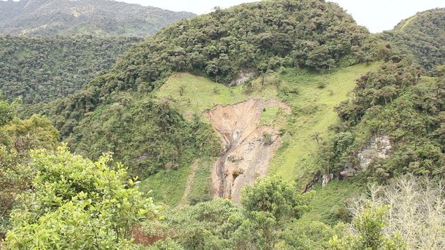 Landslide caused by cutting montane rainforest