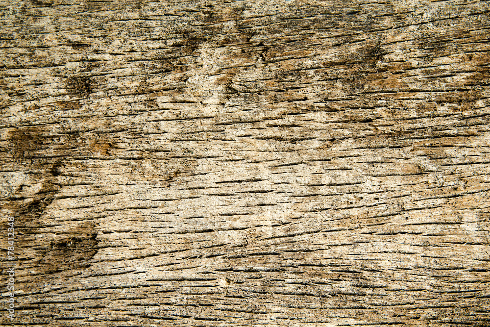 Wall mural natural old wood background