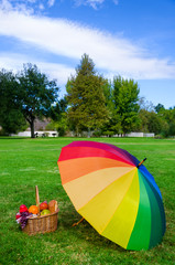 Rainbow umbrella and Picnic basket