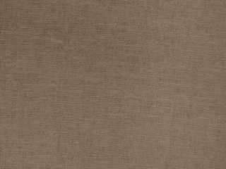 Fototapeta premium texture