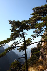 Fototapeta na wymiar mountain Huang, China