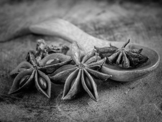 black and white  star anise