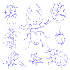 Insects sketch decorative icons set with dragonfly fly butterfly