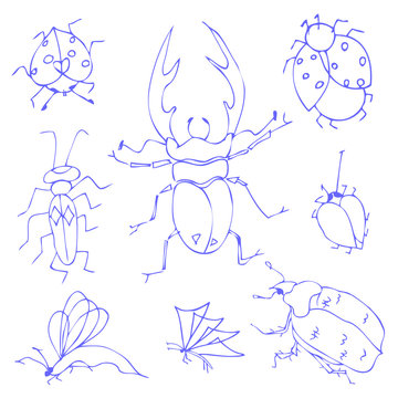 Insects sketch decorative icons set with dragonfly fly butterfly