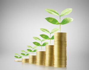Coins graph stock market