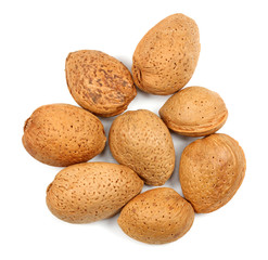 nuts almonds on a white background