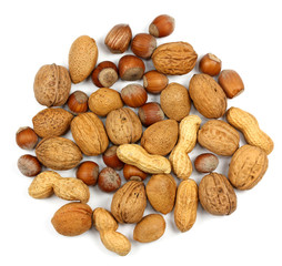 nuts on a white background