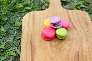 French macaroons multi colorful is delicious