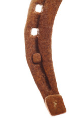 Rusty horse shoe