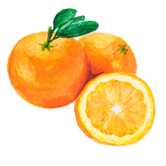 the tree orange isolated on the white background
