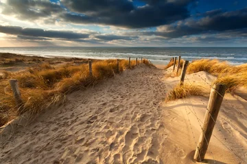 Poster de jardin Mer du Nord, Pays-Bas chemin de sable vers la plage de la mer du Nord