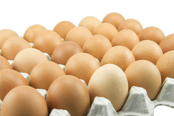 Eggs in paper tray isolated on white Background.