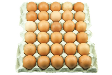 Eggs in paper tray isolated on white Background.