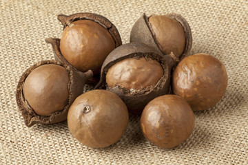 Obraz premium Broken macadamia nuts