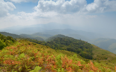 kew mae pan nature trail at Doi Inthanon national park