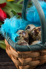 Easter quail eggs in basket on wooden background