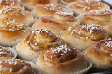 Buns. New version.