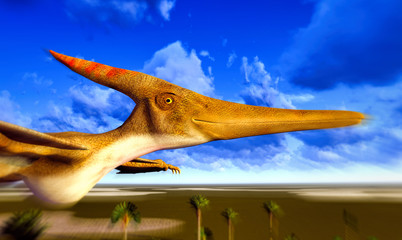 Naklejka premium Flying pterodactyl