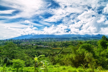 Fototapeta na wymiar Bali island. Indonesia