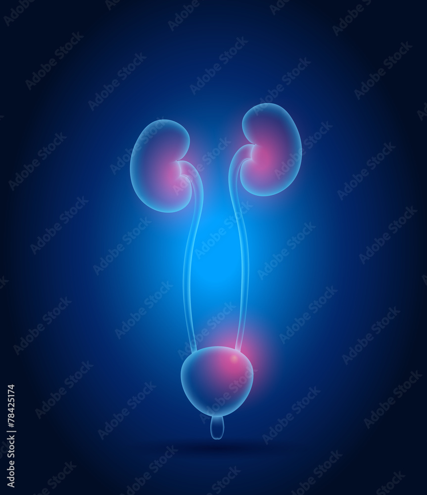 Poster Kidneys abstract design. Bright blue background and red lights.