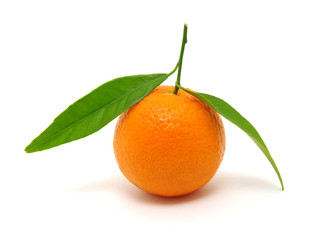 mandarin