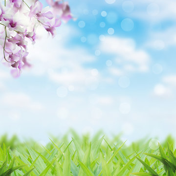 buetyful flower and grass spring season background