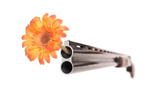 Shotgun with a flower in its barrel
