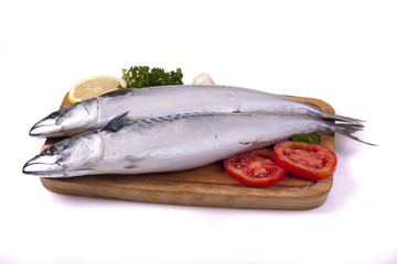 Fresh mackerel