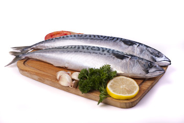Mackerel © blistwan