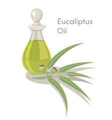 eucalyptus oil illustration