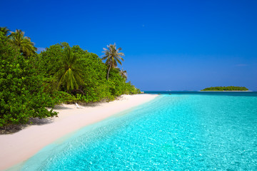Fototapeta na wymiar Tropical island with sandy beach and palm trees