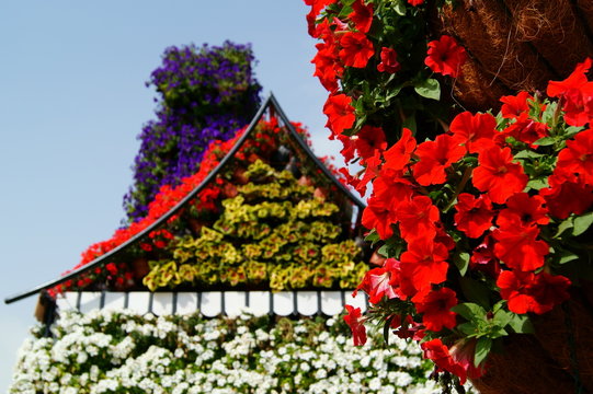 Miracle Garden I