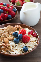 oatmeal and muesli in a bowl, fresh berries and milk