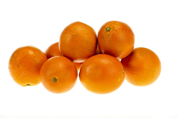 orange on white background