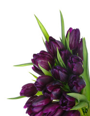Bouquet of tulips