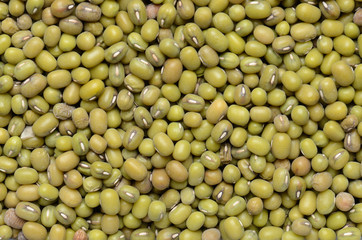close up mung beans background
