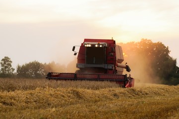 Obraz premium Roter Mähdrescher bei der Ernte, am Abend