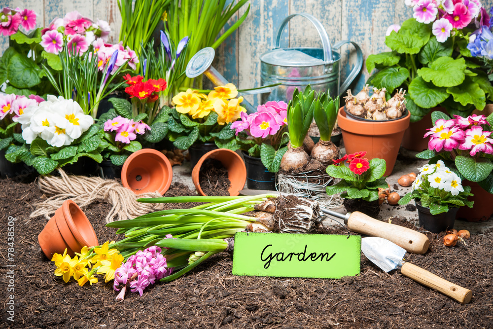 Canvas Prints gardening tools and flowers in the garden