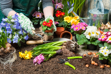 Frühling, Blumen, Gartenarbeit
