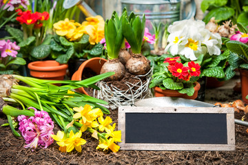 Gardening tools and flowers in the garden