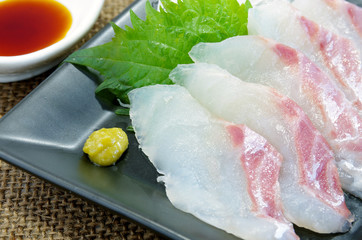 真鯛の刺身