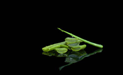 Fresh cut aloe vera leaf isolated
