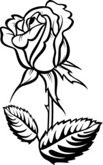 Rose silhouette with stalk and leaves. Vector illustration.