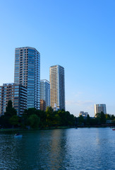 Shinobazu Pond of the Ueno Park in Tokyo, Japan