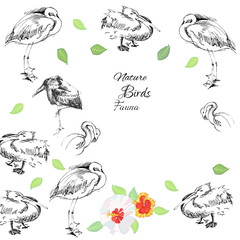 Background with birds-05 - 78441777