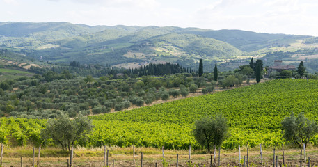 Chianti, Tuscany