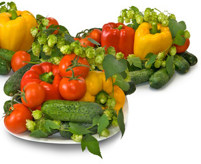 vegetables on the plate