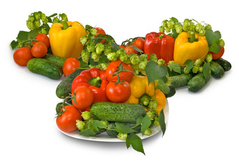 Fototapeta na wymiar vegetables on the plate on white background